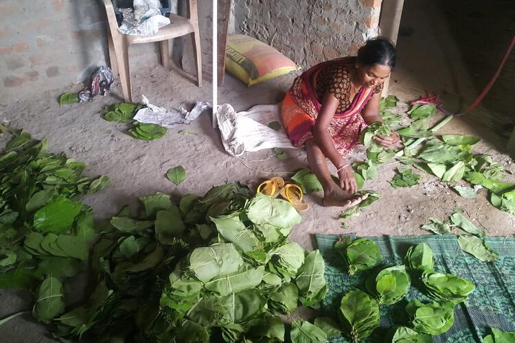 तेंदू पाना