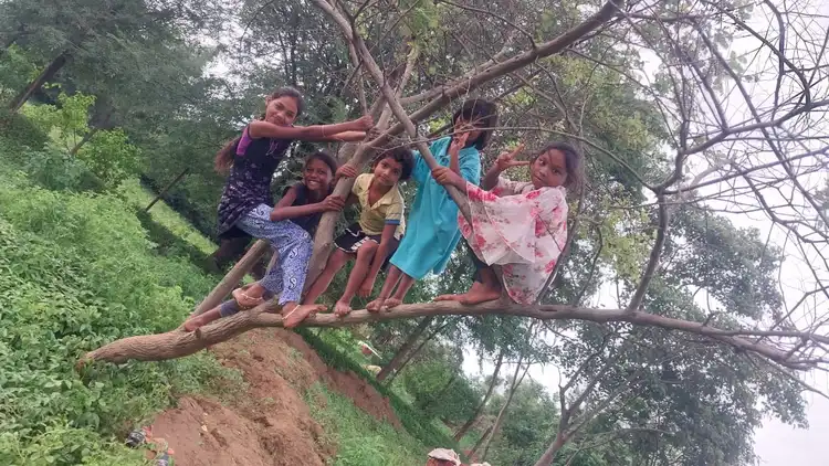 Children in tree