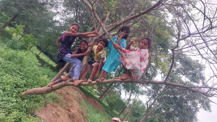 Children in tree