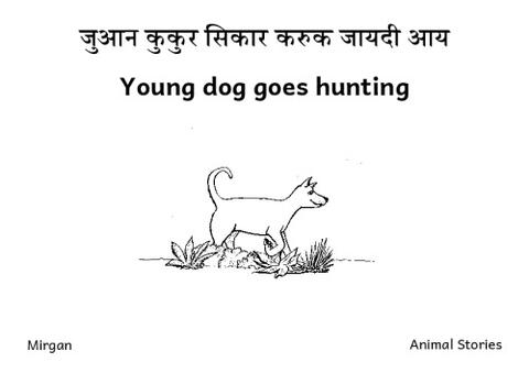 Young dog goes hunting