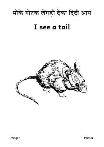 I see a tail