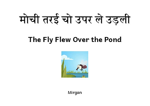 The Fly Flew Over the Pond